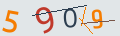 verifycode